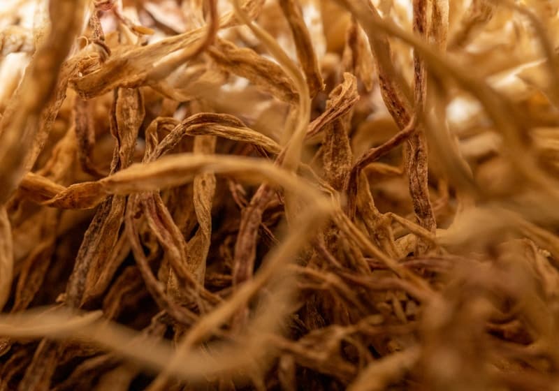 Why Ashwagandha Works: The Science Behind the Adaptogen