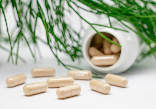 Triphala: Ayurveda's Most Versatile Formula